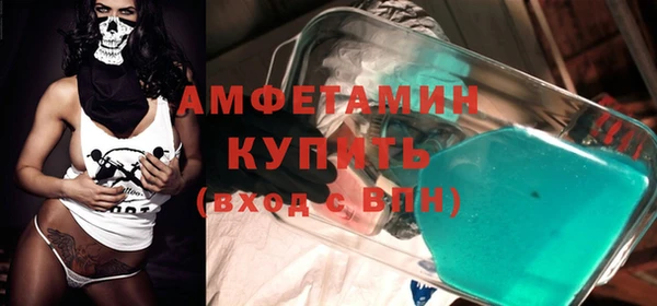 ECSTASY Гусь-Хрустальный