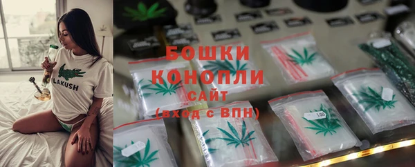 сатива Гусев