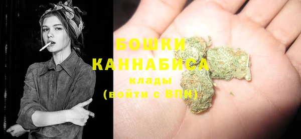 ГАЛЛЮЦИНОГЕННЫЕ ГРИБЫ Гусиноозёрск