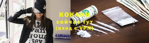 ECSTASY Гусь-Хрустальный