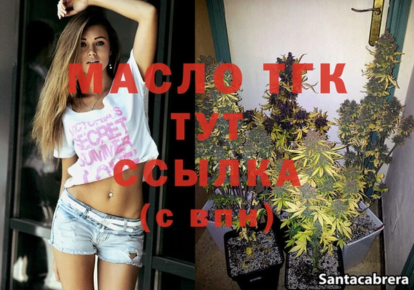 ECSTASY Гусь-Хрустальный