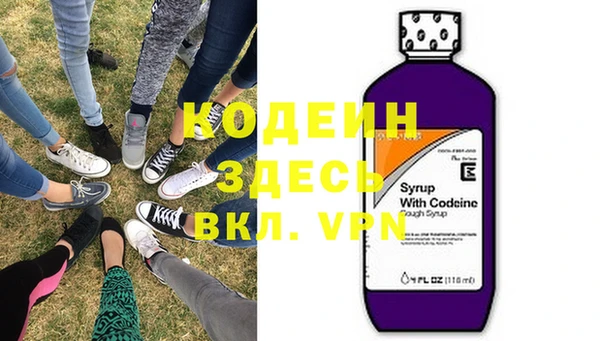 ECSTASY Гусь-Хрустальный