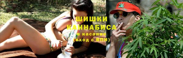 ECSTASY Гусь-Хрустальный