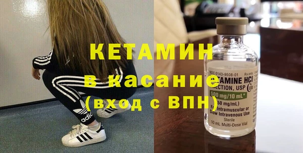 ECSTASY Гусь-Хрустальный