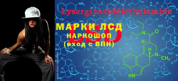ECSTASY Гусь-Хрустальный
