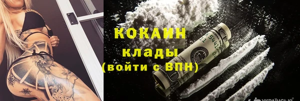сатива Гусев